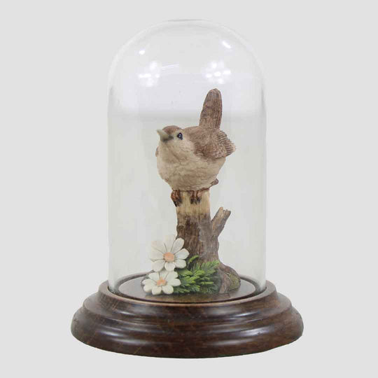 Wren In Glass Dome By Country Artists