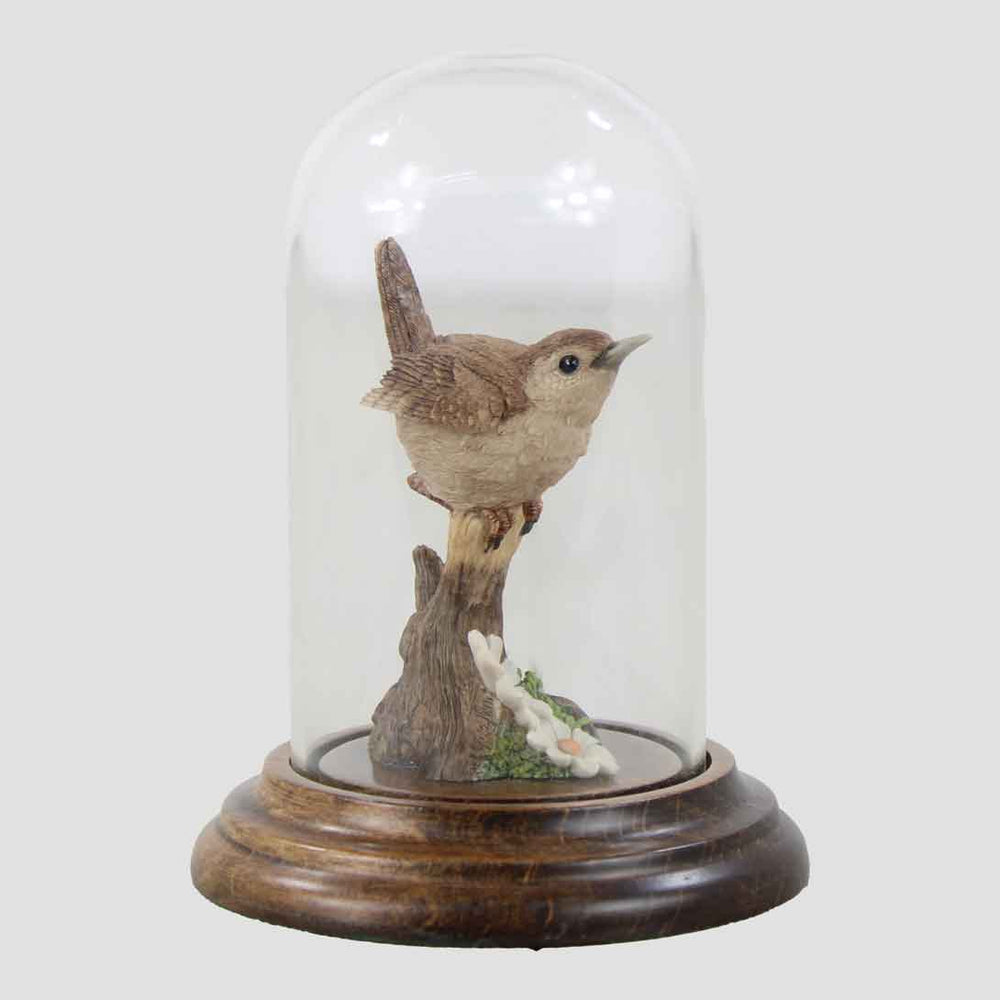 Wren In Glass Dome By Country Artists
