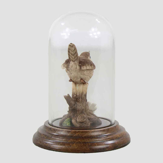 Wren In Glass Dome By Country Artists