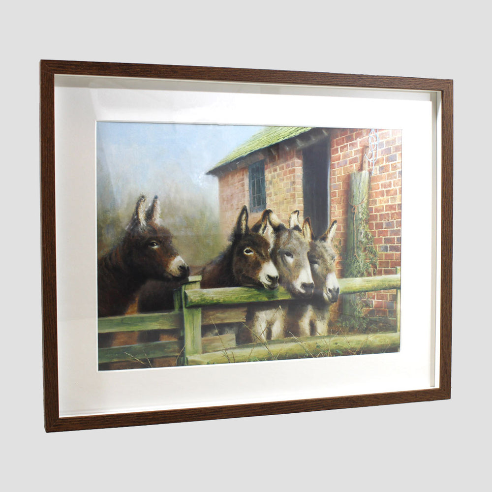 Donkey's Framed Print
