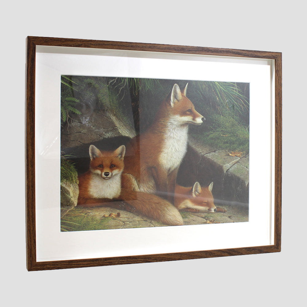 Fox And Pups Framed Print