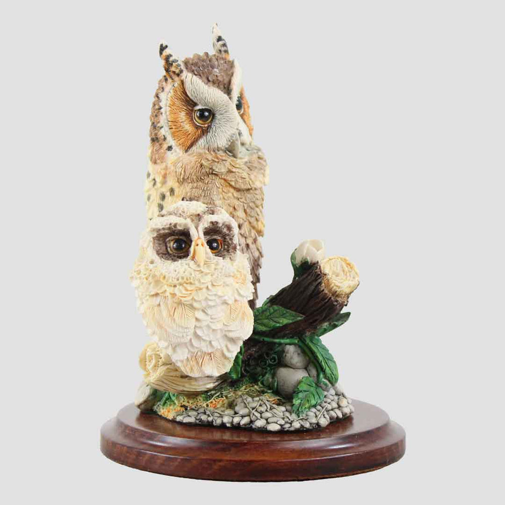 Long Eared Owl And Outlet Border Fine Arts