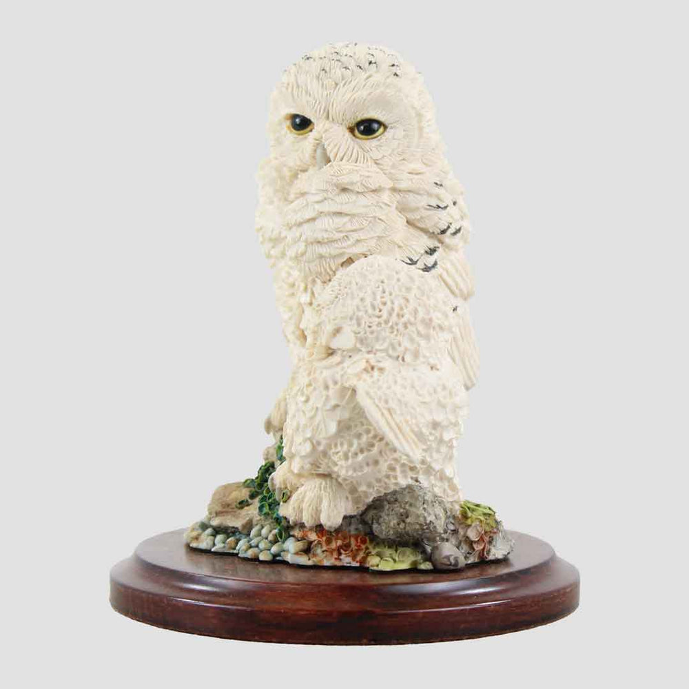 Snowy Owl And Owlet Border Fine Arts
