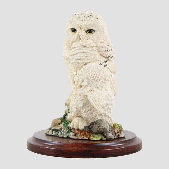 Snowy Owl And Owlet Border Fine Arts