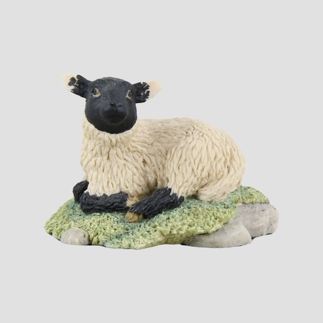 Herbert - Lamb Border Fine Arts