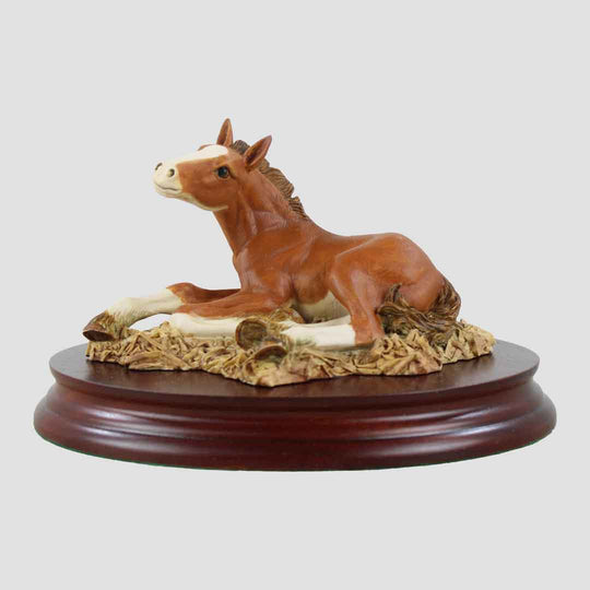 Badger Foal Border Fine Arts Horse