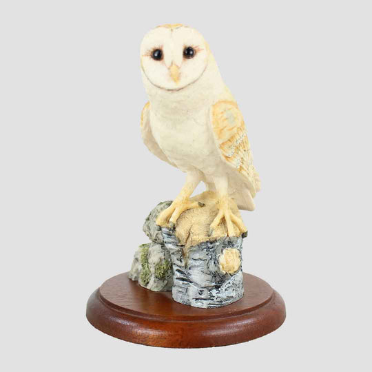 Barn Owl Style Four Border Fine Arts