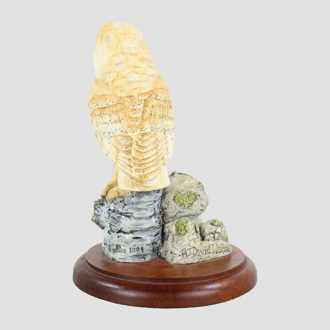 Barn Owl Style Four Border Fine Arts
