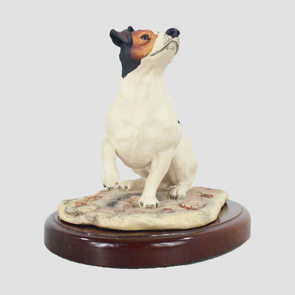 Jack Russell Terrier Seated Tri-Colour Border Fine Arts Dog