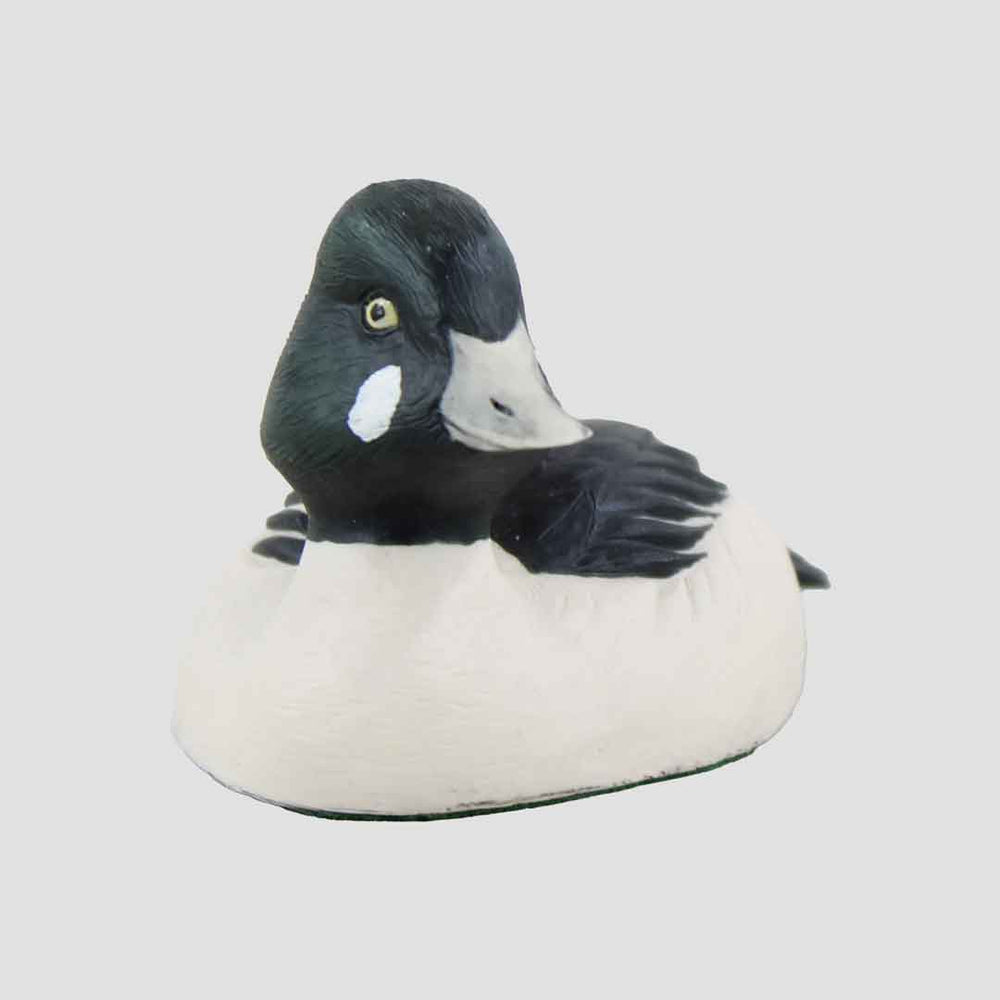 Goldeneye Drake Border Fine Arts Drake