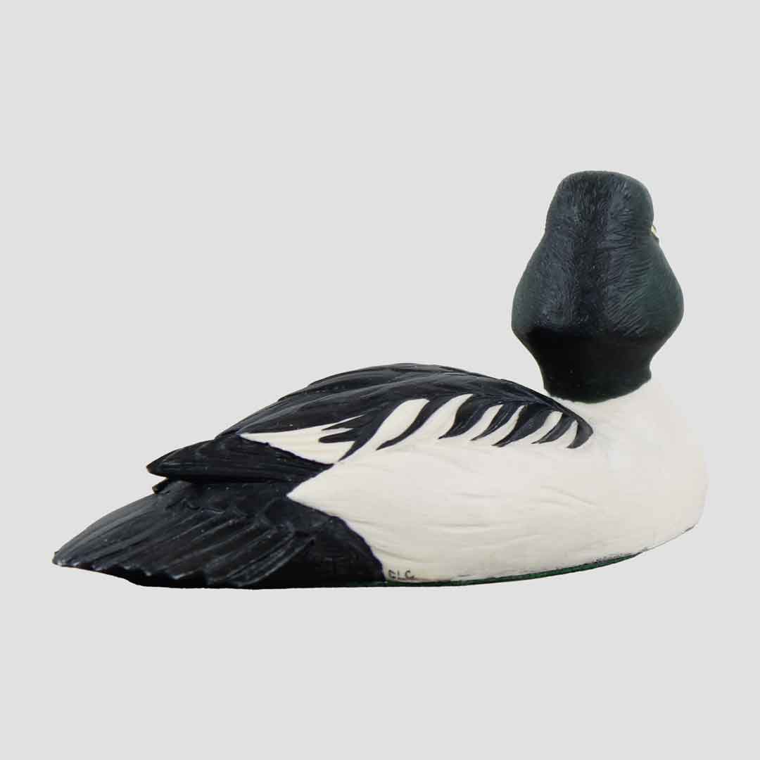 Goldeneye Drake Border Fine Arts Drake