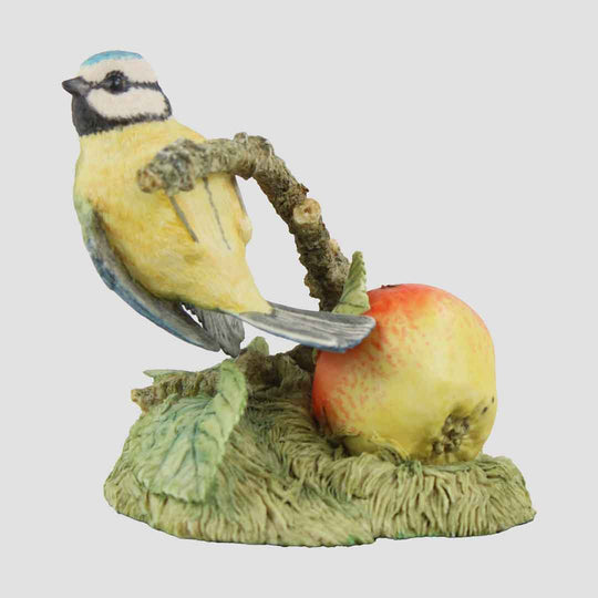 Blue Tit On Branch With Apple Border Fine Arts