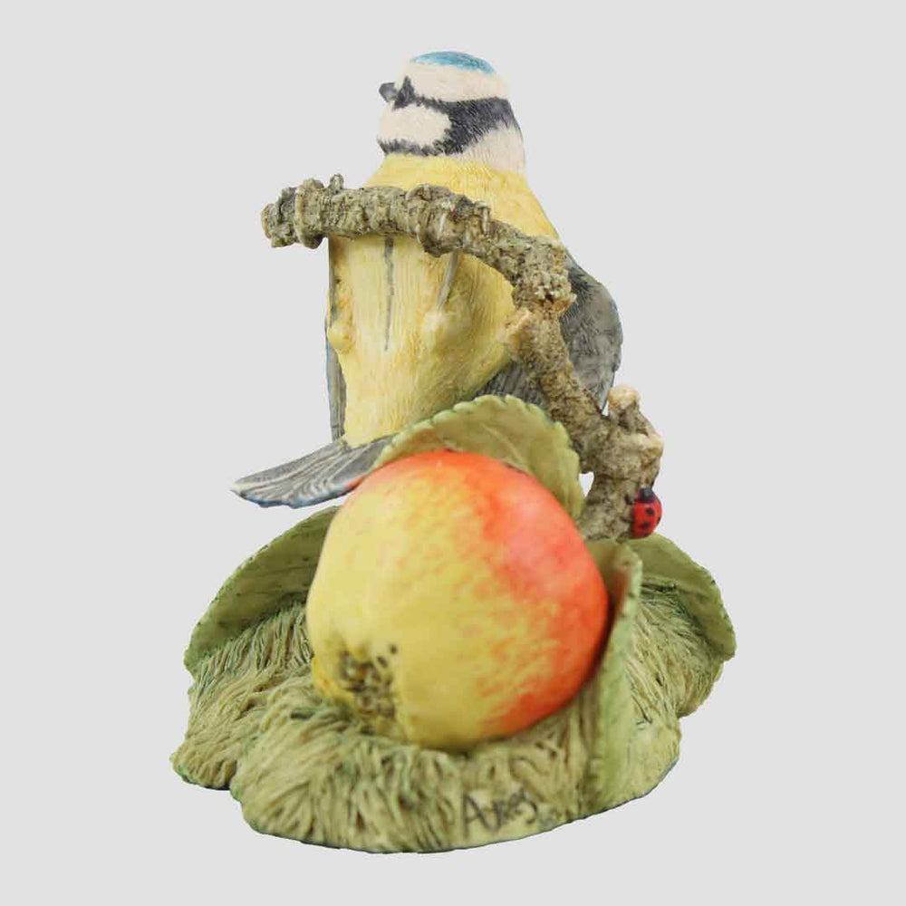 Blue Tit On Branch With Apple Border Fine Arts