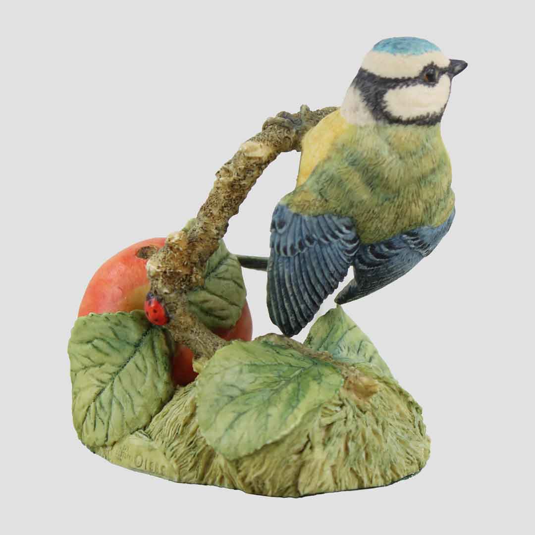 Blue Tit On Branch With Apple Border Fine Arts