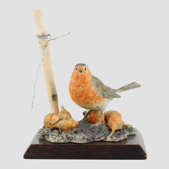 Robin And Onions Border Fine Arts