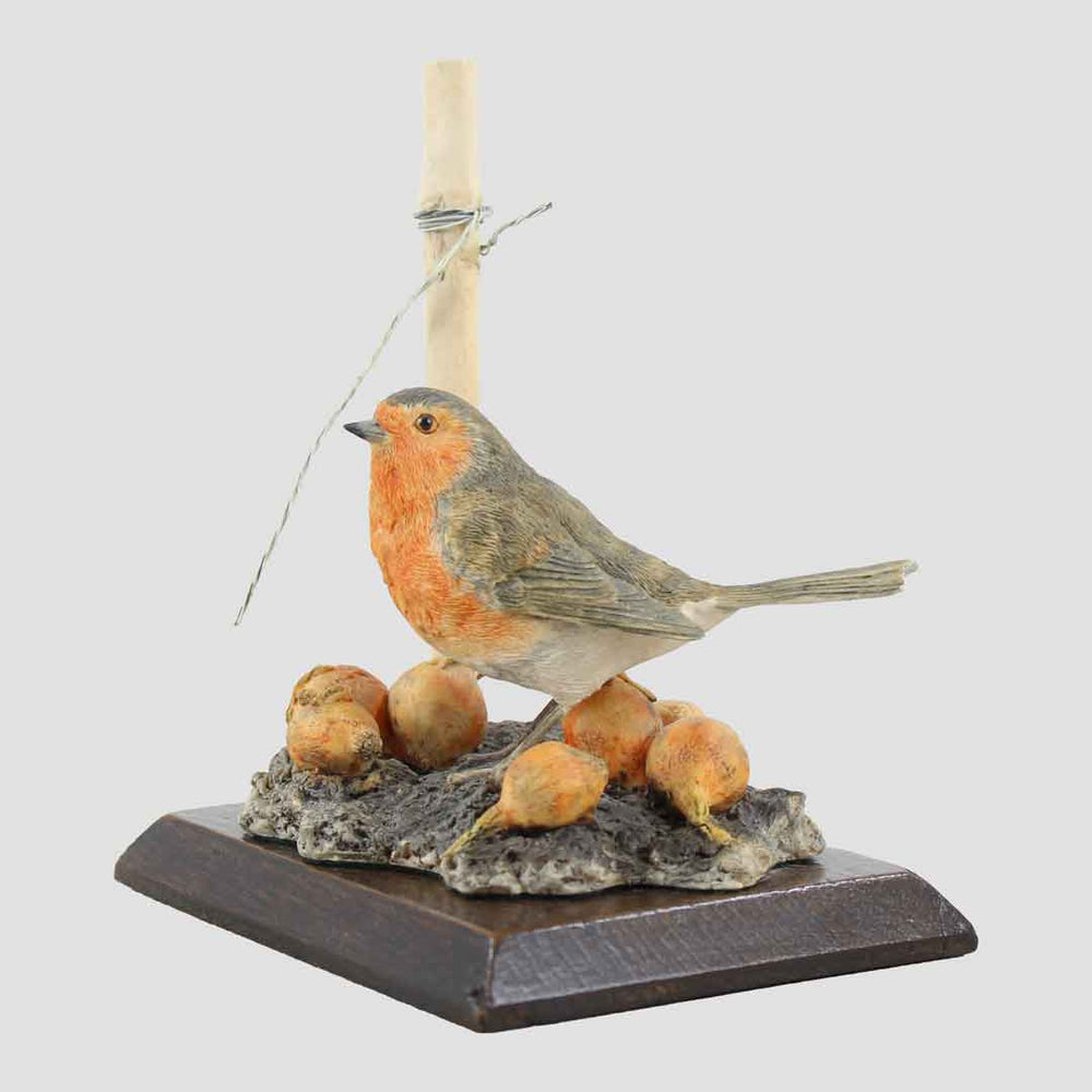 Robin And Onions Border Fine Arts