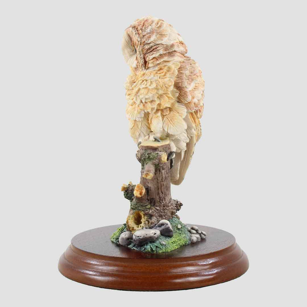 Tawny Owl Style Seven Border Fine Arts