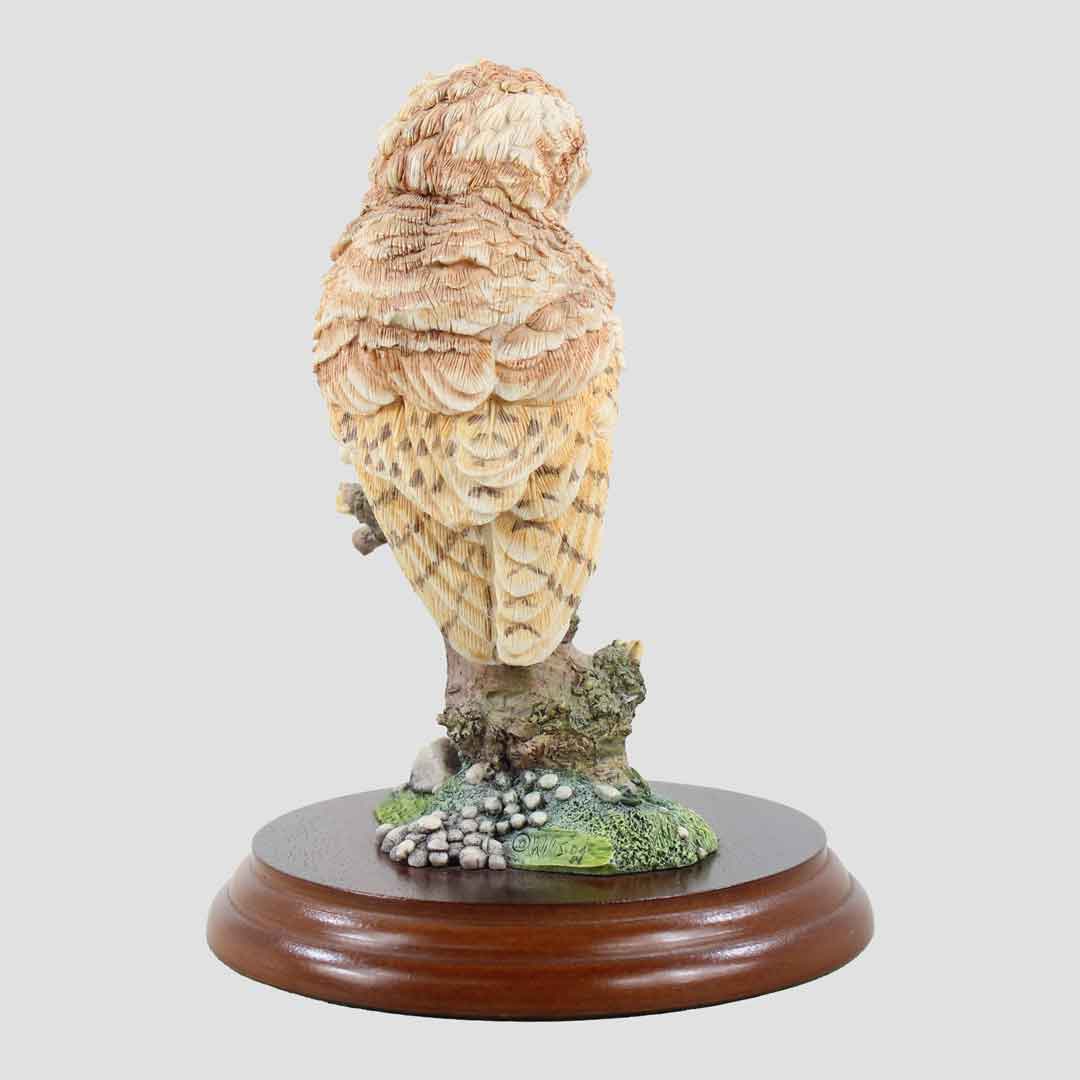 Tawny Owl Style Seven Border Fine Arts