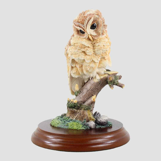 Tawny Owl Style Seven Border Fine Arts