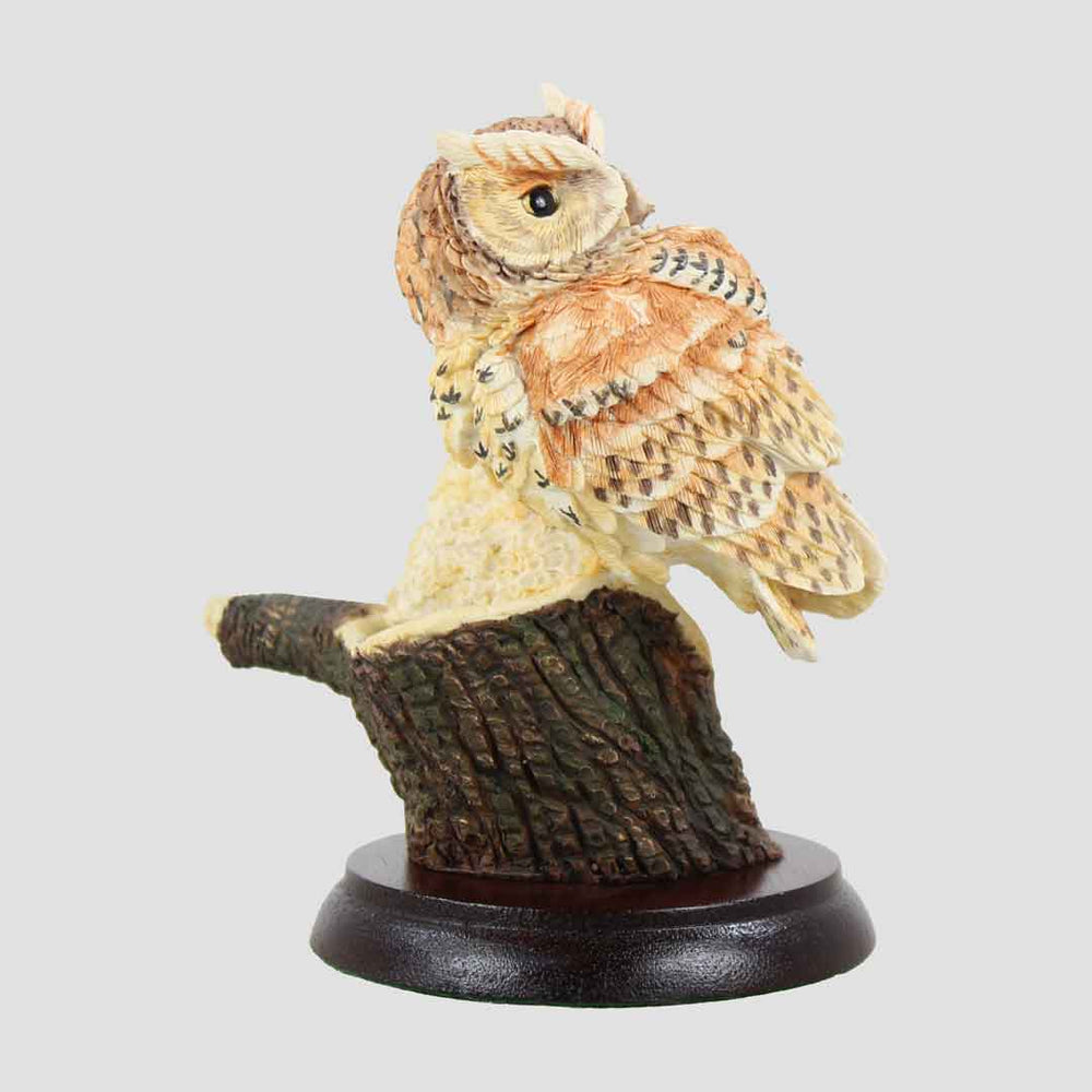 Birds Of The Night - Screech Owl and Owlet Border Fine Arts