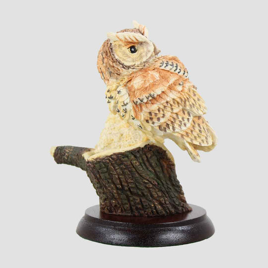 Birds Of The Night - Screech Owl and Owlet Border Fine Arts