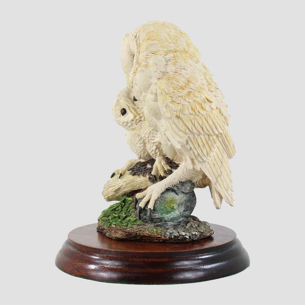 Barn Owl And Chick Style One Border Fine Arts