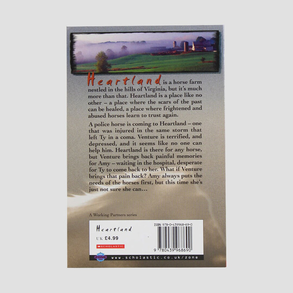 Heartland Holding Fast By Lauren Brooke Book Paperback