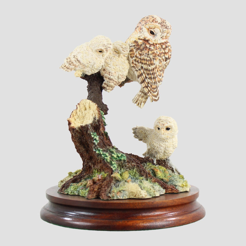 A Watchful Eye Owl Border Fine Arts Birds