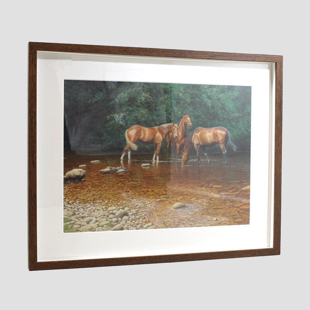 Horse In Water Framed Print