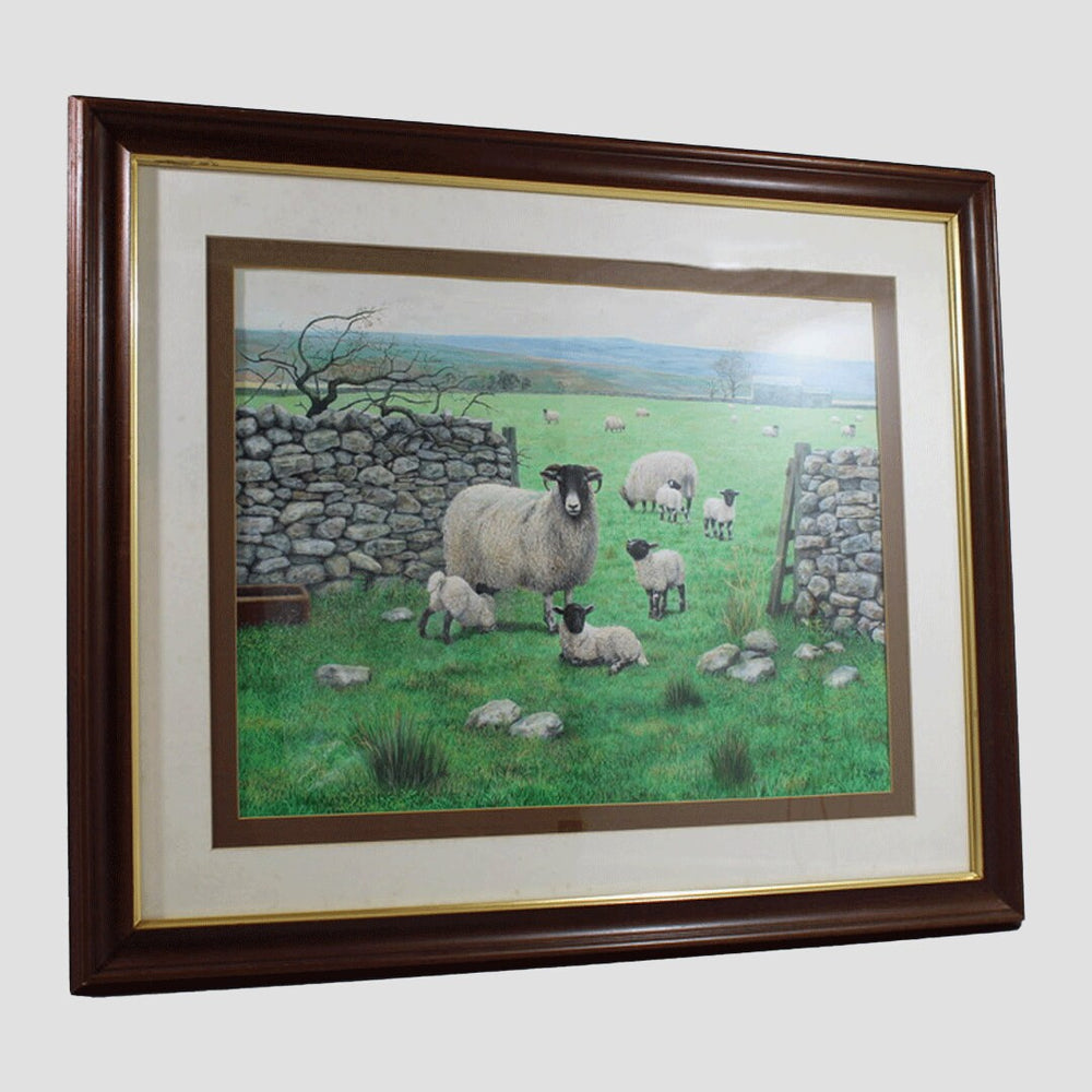 Spring Lambing Framed Original Artwork