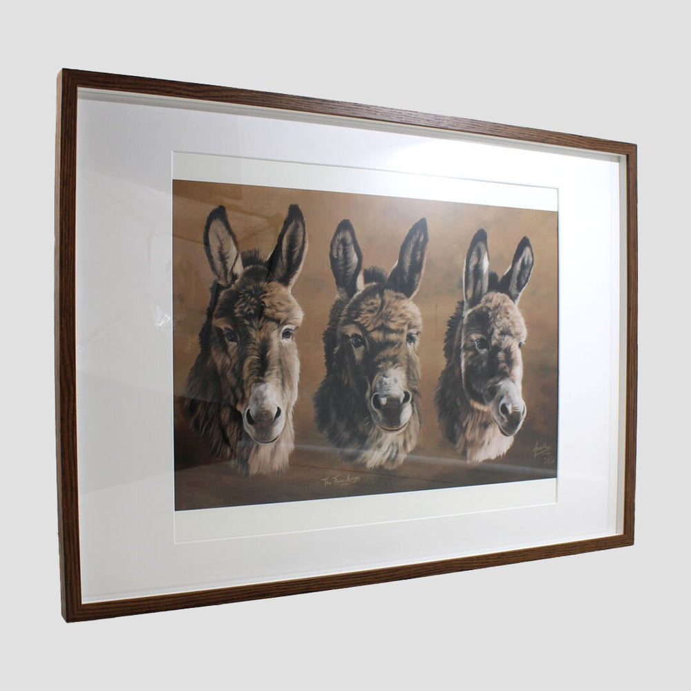 Three Amigos Donkey Framed Print