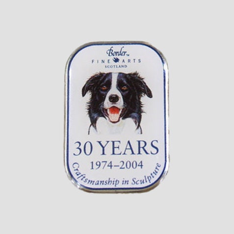 Pin Badge Border Fine Arts 30 Years