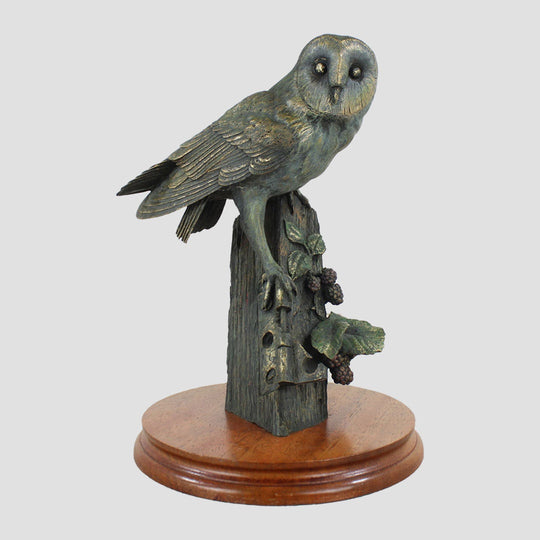 Barn Owl Border Fine Arts Birds