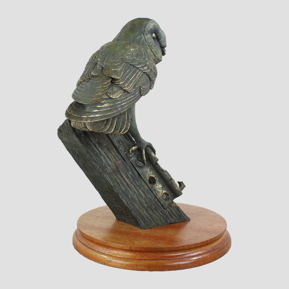 Barn Owl Border Fine Arts Birds
