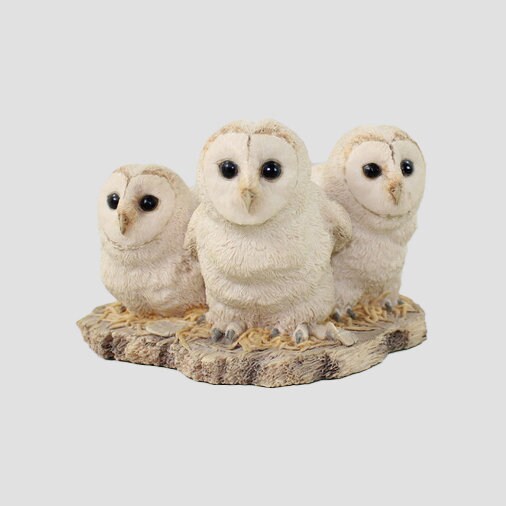 Barn Owlets (Three) Border Fine Arts Birds