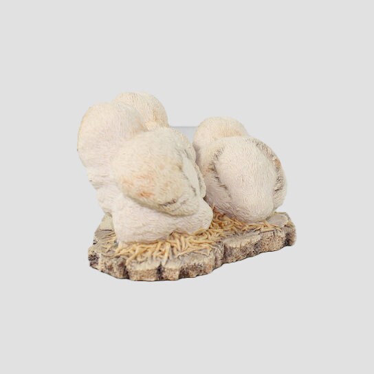 Barn Owlets (Three) Border Fine Arts Birds