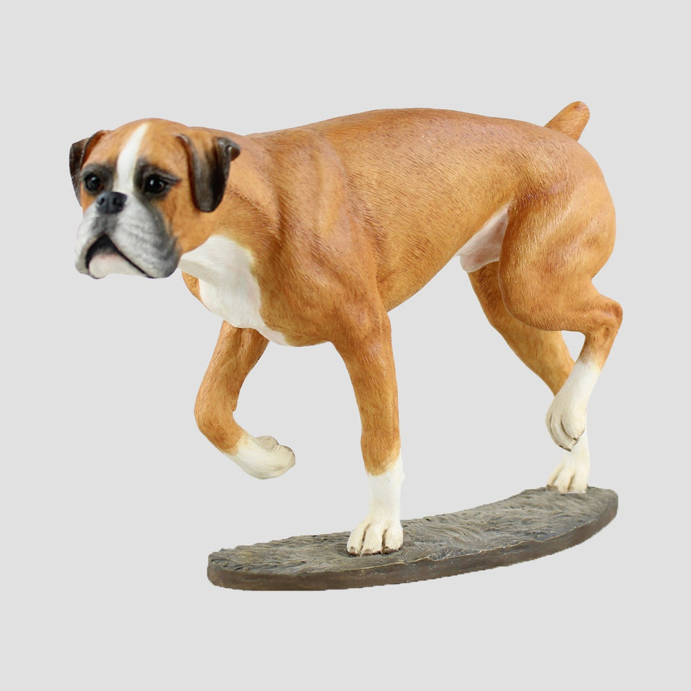 Boxer Tan and White Border Fine Arts Dogs