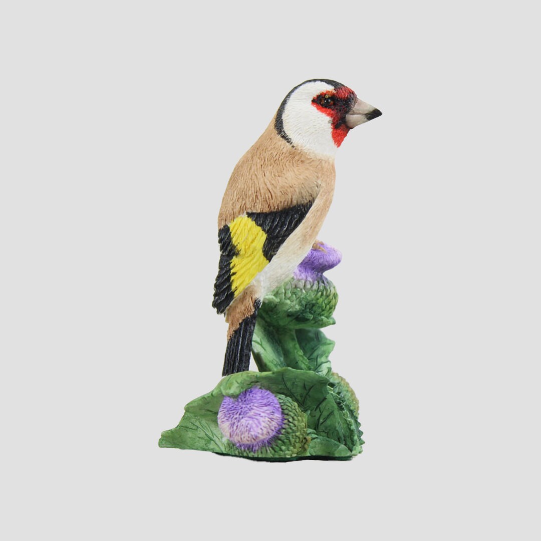 Charming Model Border Fine Arts Birds