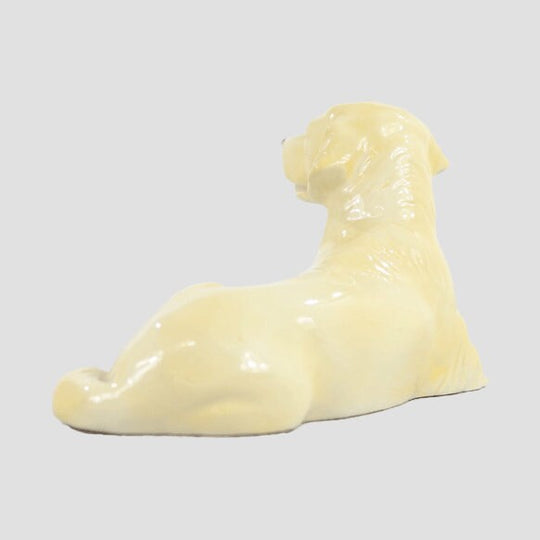 Golden Retriever Lying Border Fine Arts Dogs