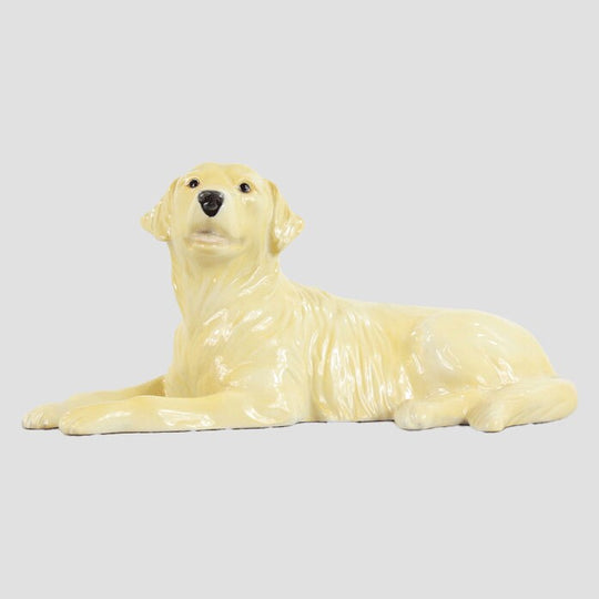 Golden Retriever Lying Border Fine Arts Dogs