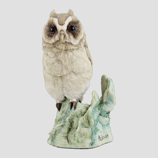 Short Eared Owl (Grey And White) Bird Models