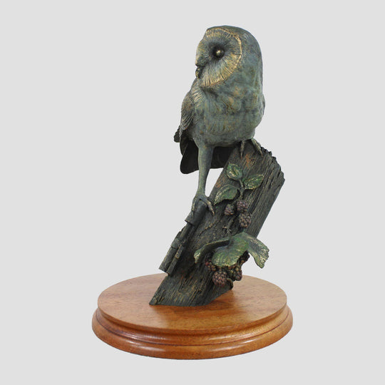 Barn Owl Border Fine Arts Birds