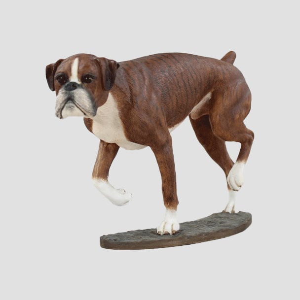 Boxer Brindle Border Fine Arts Dogs