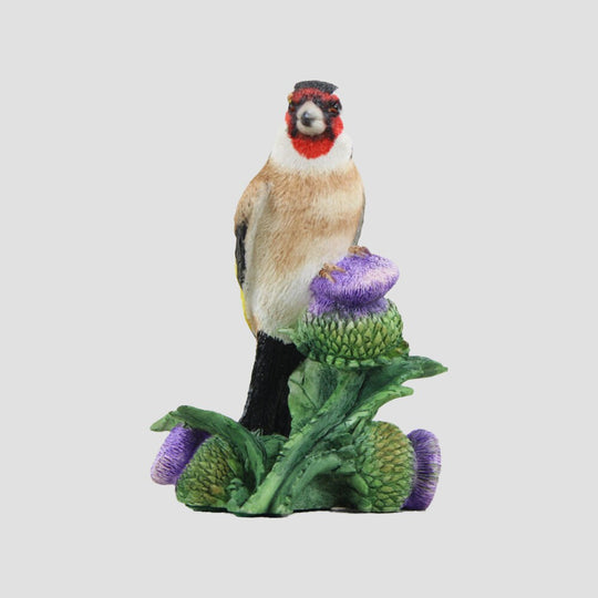 Charming Model Border Fine Arts Birds
