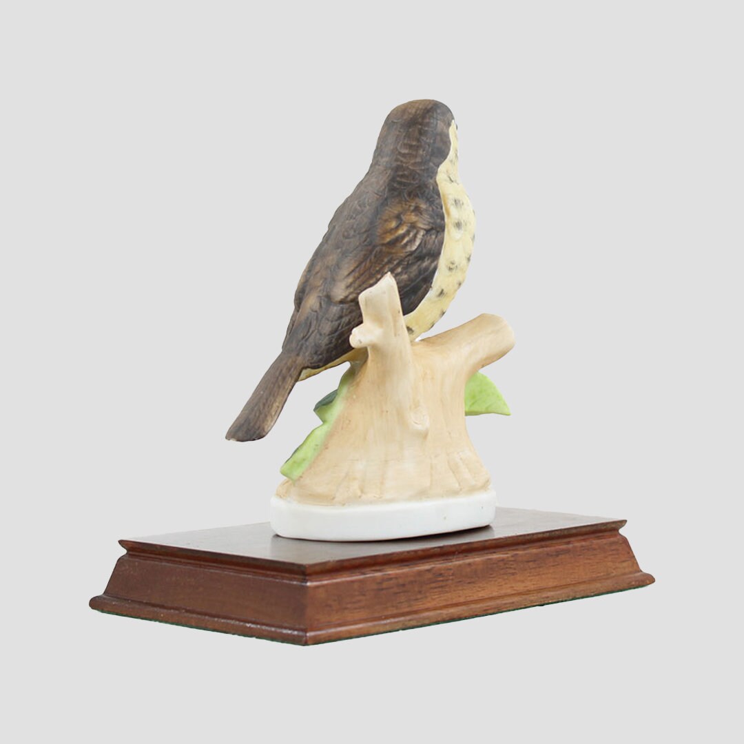 Song Thrush By Leonardo Birds