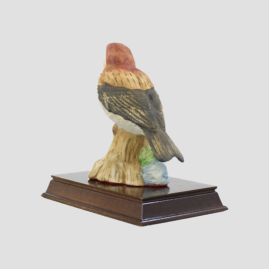 Sparrow By Leonardo Birds