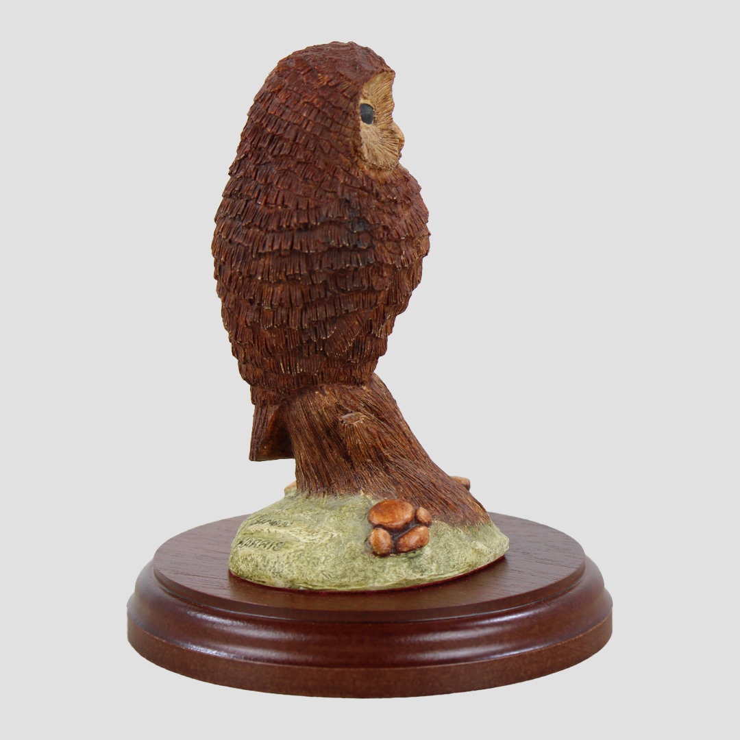Tawny Owl By Simon Harris Birds