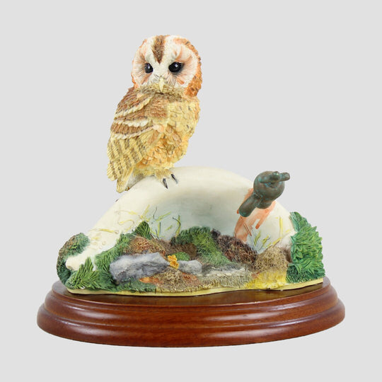 Tawny Owl on Sink Border Fine Arts Birds