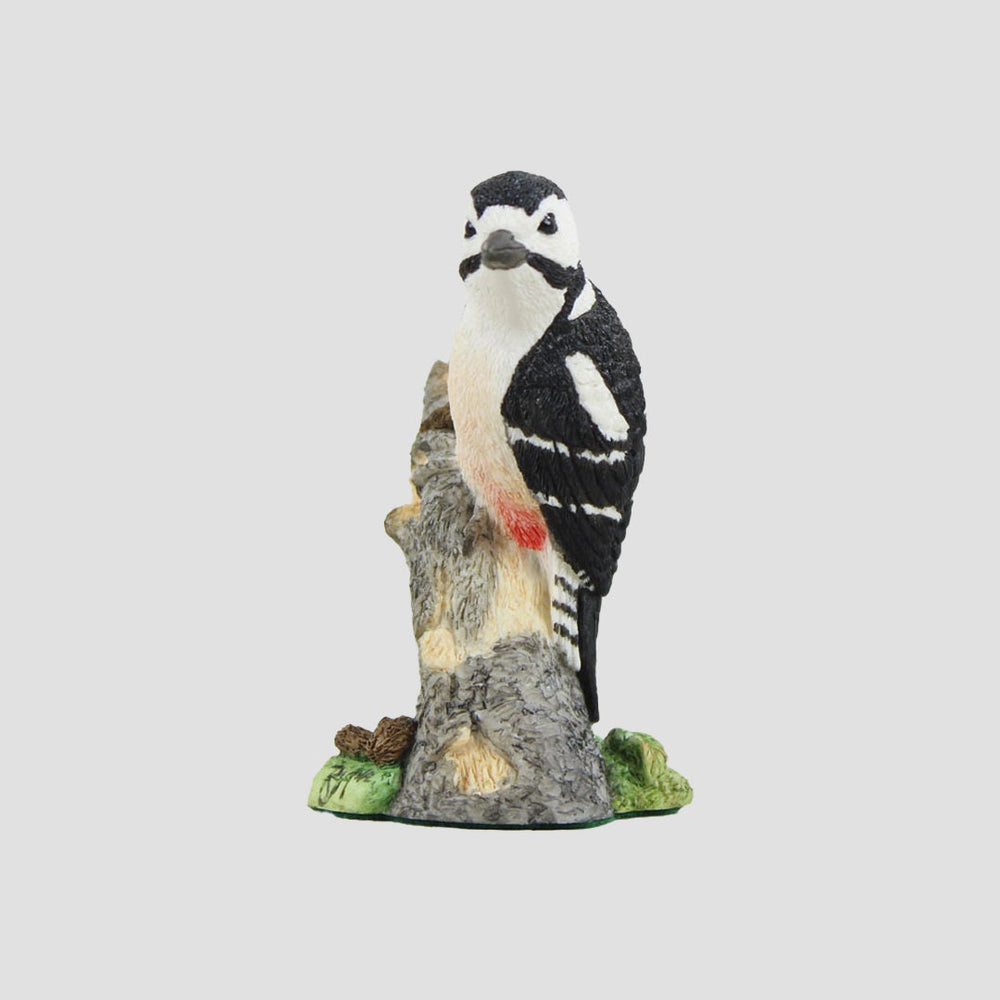 Woody Woodpecker Model Border Fine Arts Birds