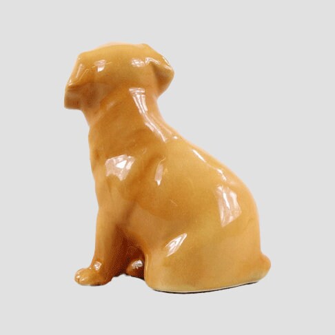 Labrador Pup Yellow By John Beswick